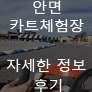  태안 안면도여행코스 가볼만한곳 안면카트체험장