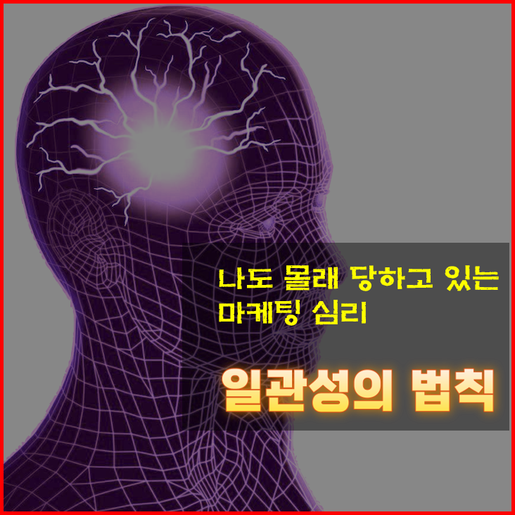  [마케팅심리학] 나도 몰래 당하고 있는 마케팅 심리. 일관성의 법칙