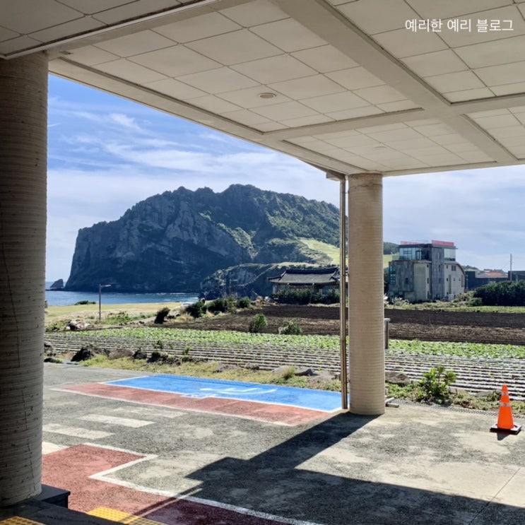  [반려견동반_제주도 여행3]탁 트인 우도&성산일출봉 전망, 제주 오르다 카페 방문후기 #내돈내산