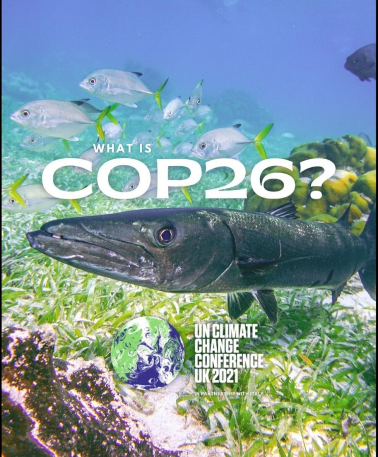 COP26에 대한 간단한 이해자료
