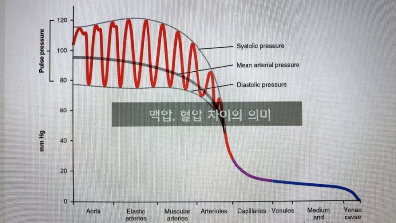 맥압(Pulse Pressure), 수축기 이완기 혈압 차이가 크다면? -정상 맥압과 비교 : 네이버 블로그