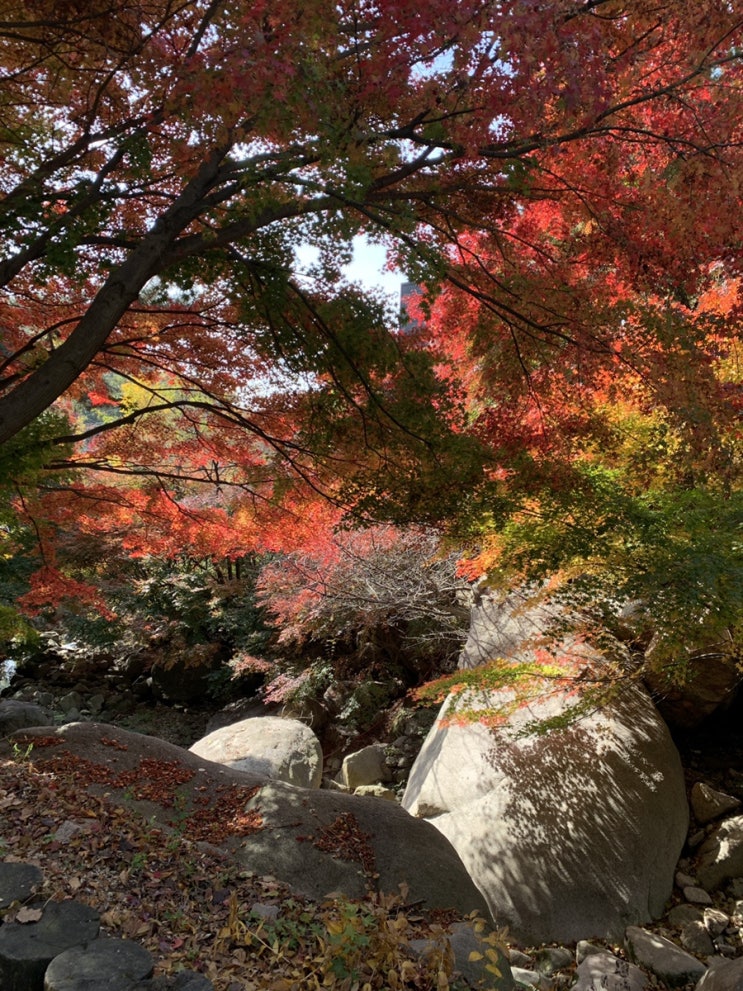  서울 추천 산행과 등린이 꿀팁 :: 북한산 향로봉, 비봉, 문수봉 코스(ft.초보자 코스, 대중교통)