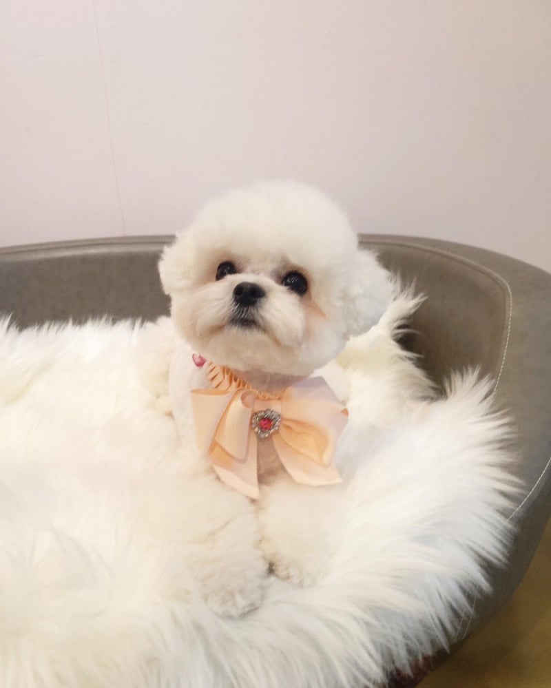 사진 2