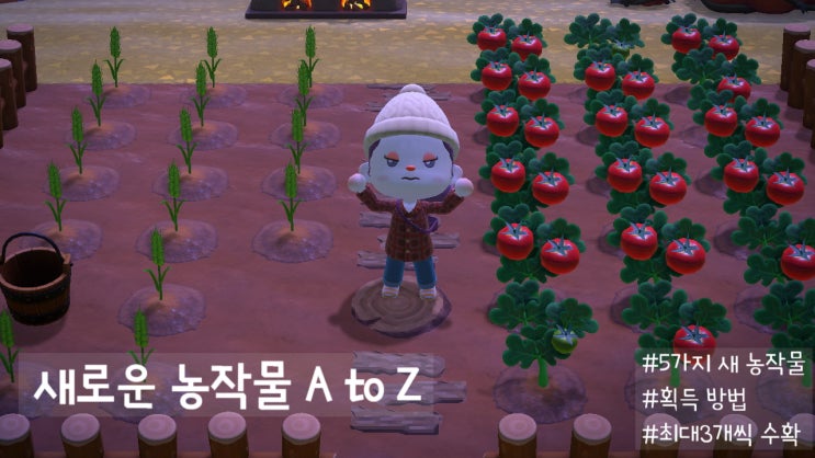  [ 모동숲 정보 ] 모동숲 ver 2.0 새로 생긴 농작물 AtoZ