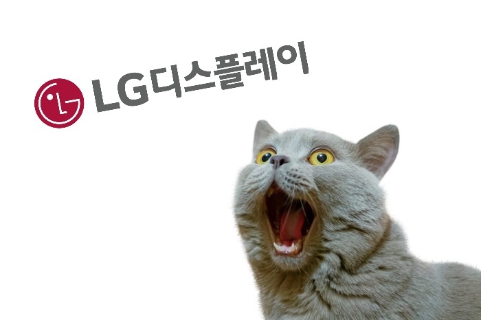 LG디스플레이 채용 면접학원 / PT면접 경험면접 내일코칭에서 준비!