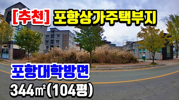 포항부동산 상가주택부지 토지매매포항대학방면