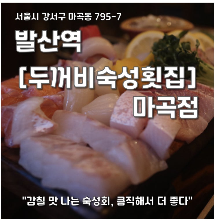  마곡 맛집 [두꺼비숙성횟집 마곡점] 모듬숙성회 중짜 후기