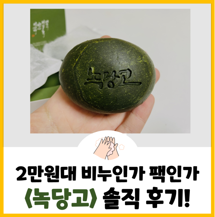  [내돈내산] 2만원대 비누인가 팩인가? - 코스메쉐프 <녹당고> 솔직후기!