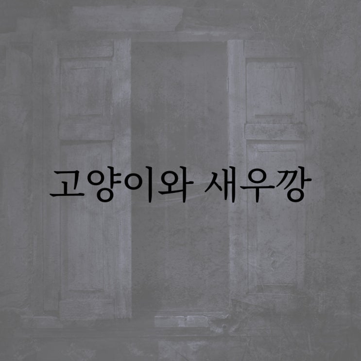  고양이와 새우깡 / 실화 현실 공포 레전드 무서운 썰