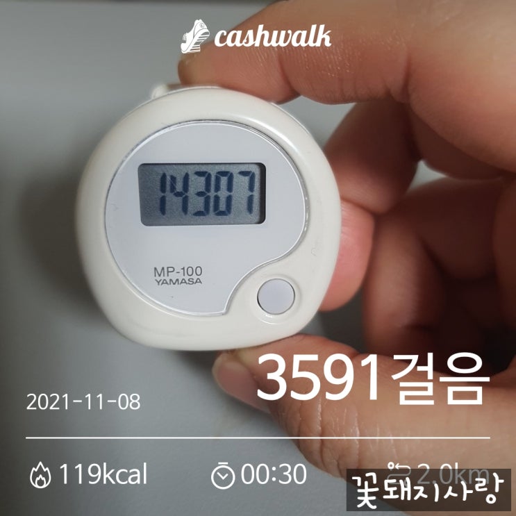  D+91 삼겹살에서 목살로