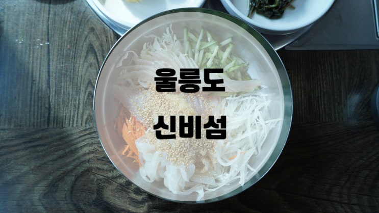  울릉도 신비섬 / 후회없었던 물회 맛집