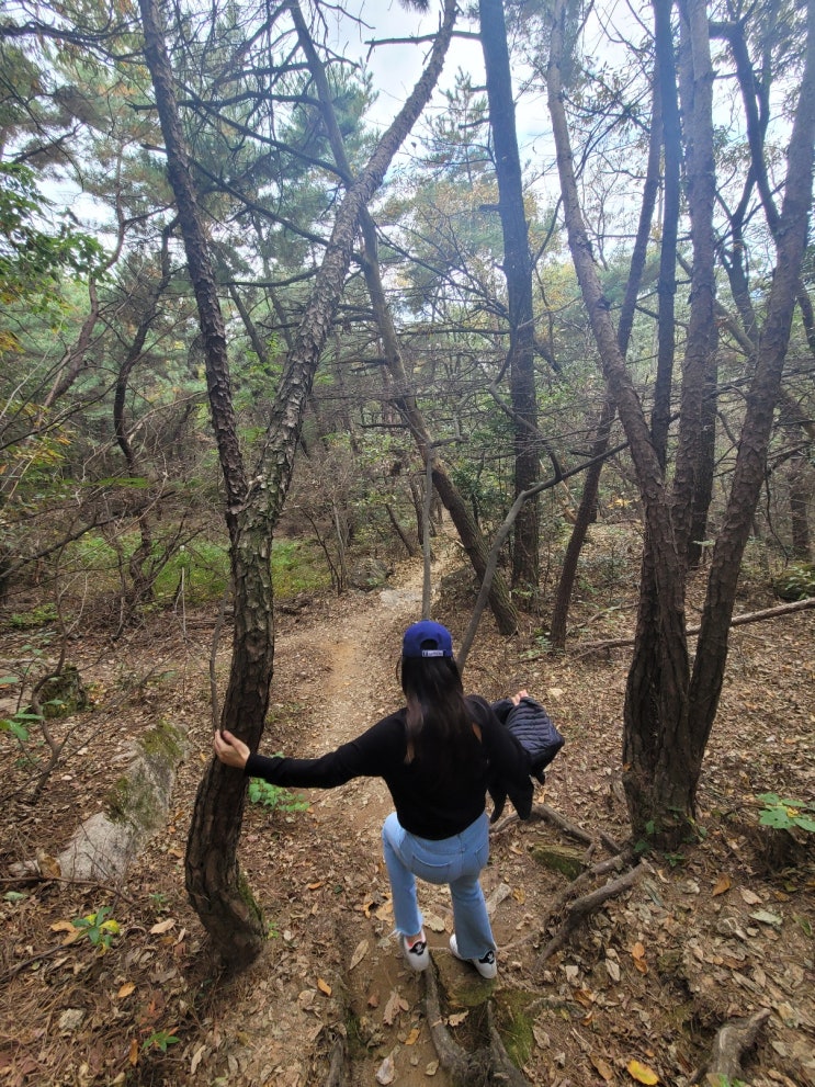  건강에 도움주는 뒷동산 산행 자주 다녀야 겠어요