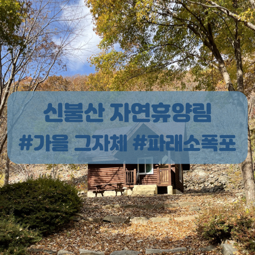  신불산 자연휴양림 숲속의집 1박 후기