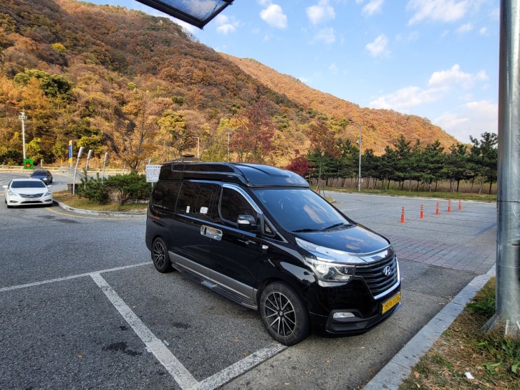  반려견입국이동/인천공항에서울산/해외입국자/방역콜밴/방역택시/자가격리면제/안전하게픽업해드렸어요~/울산콜밴