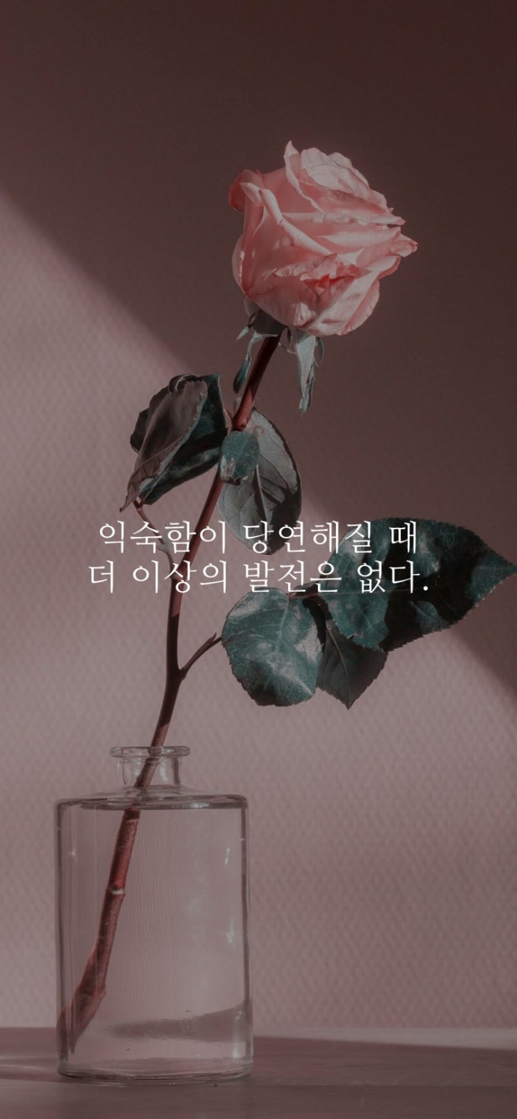  부거사이 [부동산 뉴스와 블로그] 11월 8일(월)
