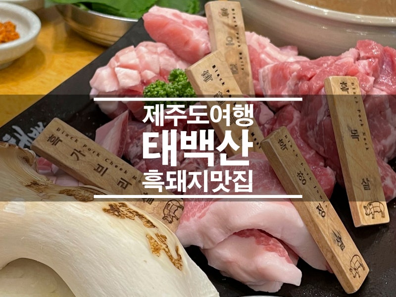 제주 공항 근처 흑돼지 맛집 태백산제주 맛집 여행 여긴 꼭 가야해