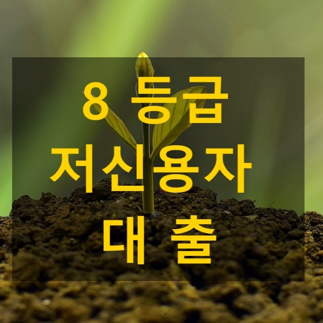 8등급 저신용자 대출 TOP 5