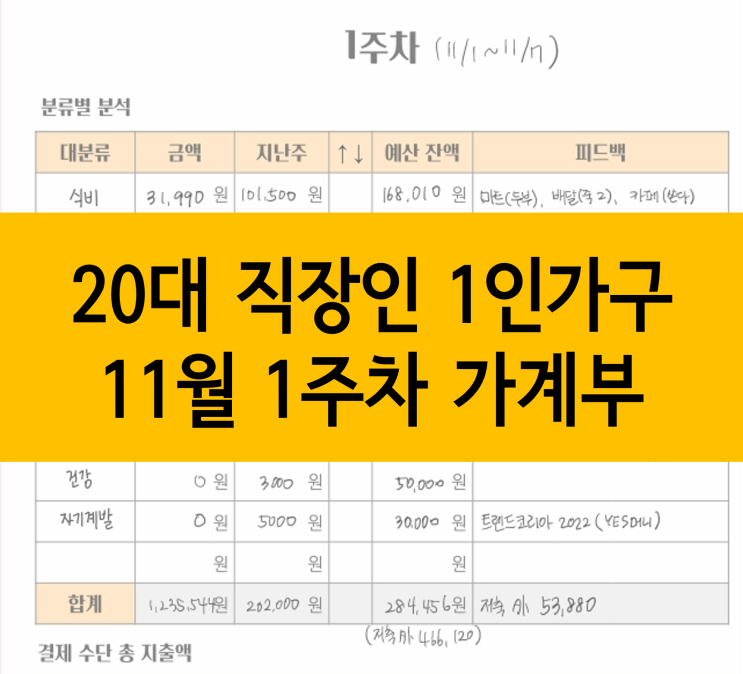  20대 직장인 1인가구 가계부, 11월 1주차 :: 부수입 저축을 밀리지 말자!