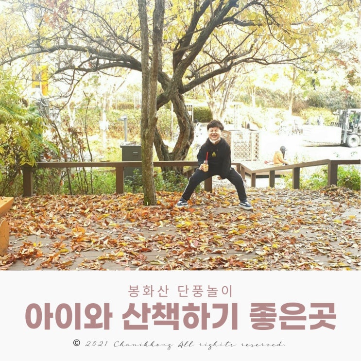  중랑구 아이와 산책하기 좋은 곳 봉화산 단풍놀이