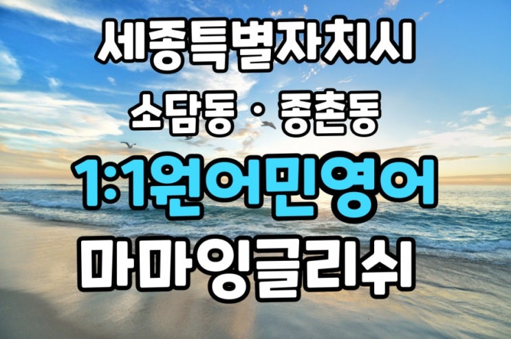  세종특별자치시【소담동·종촌동】일대일영어회화/원어민일대일영어/영어회화【금남면·연서면】