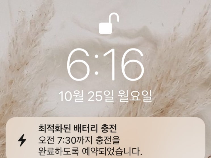  [습관만들기] 미라클 모닝 WEEK 18 & 19 - 적응해가기