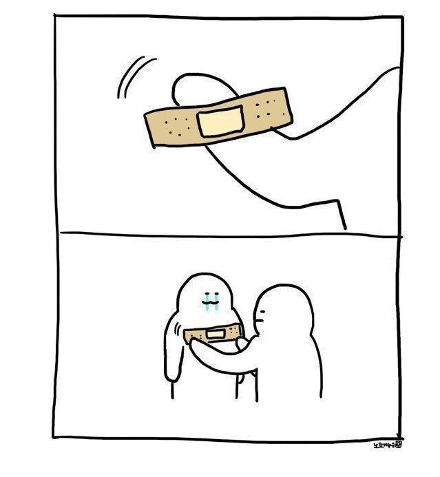  보통의 노력