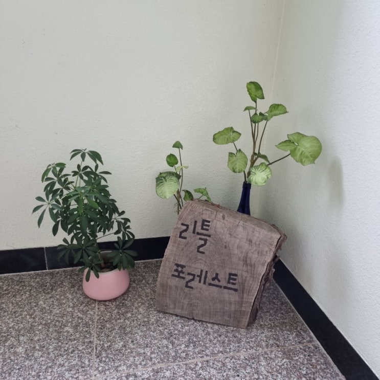  제주도 제주시 에어비앤비 <리틀포레스트> 숙소 후기