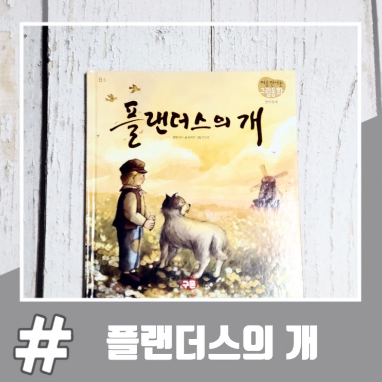  플랜더스의 개(플란더스의 개) 줄거리 및 안타까운 결말