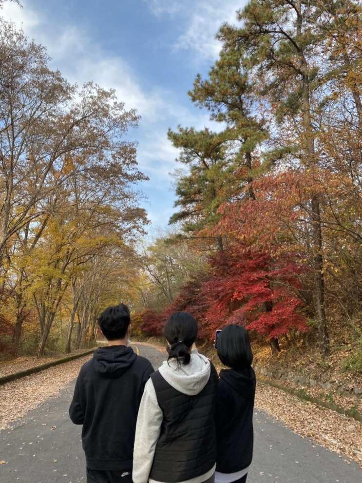  가평호명산 호명호수 |  가을 단풍 명소 끝판왕 | 지금 딱 가볼만한 가평팔경(ft. 등산 아니고 산책)