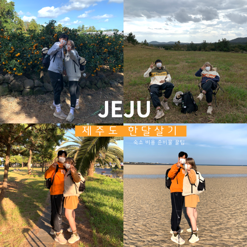 두번째 제주살이 제주도 한달살기 숙소 비용 준비물 후기까지 한번에 총정리