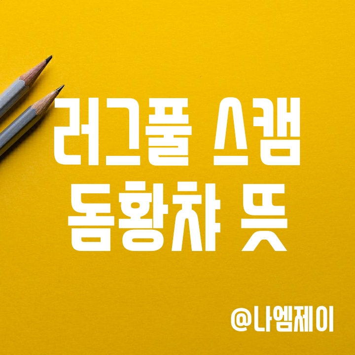 비트코인 용어 - 돔황챠 러그풀 스캠 뜻 비트코인 용어 - 돔황챠 러그풀 스캠 뜻