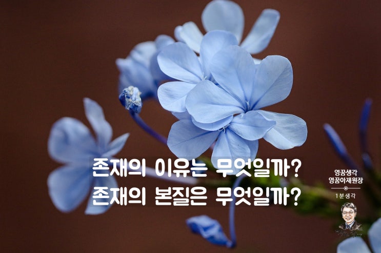  존재 이유 사랑과 행복, 착각일까 세뇌일까