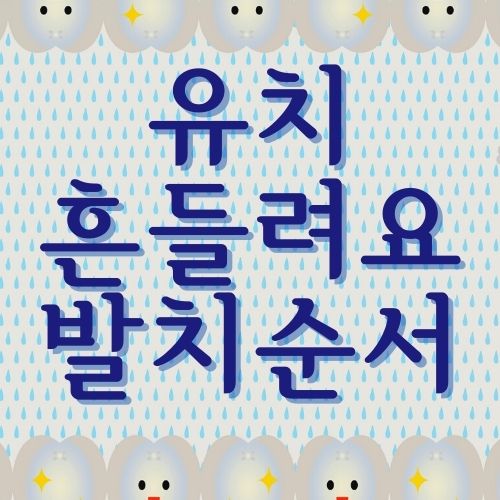  유치 흔들림 발치 순서 알아보아요
