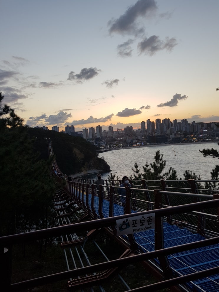  울산 대왕암 공원 출렁다리