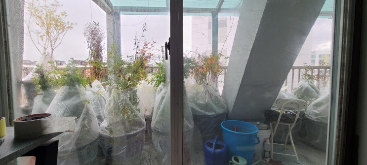 DIY 뽁뽁이 재활용 온실 화분 뽁뽁이 화분 온실 만들기 DIY 뽁뽁이 재활용 온실 화분 뽁뽁이 화분 온실 만들기