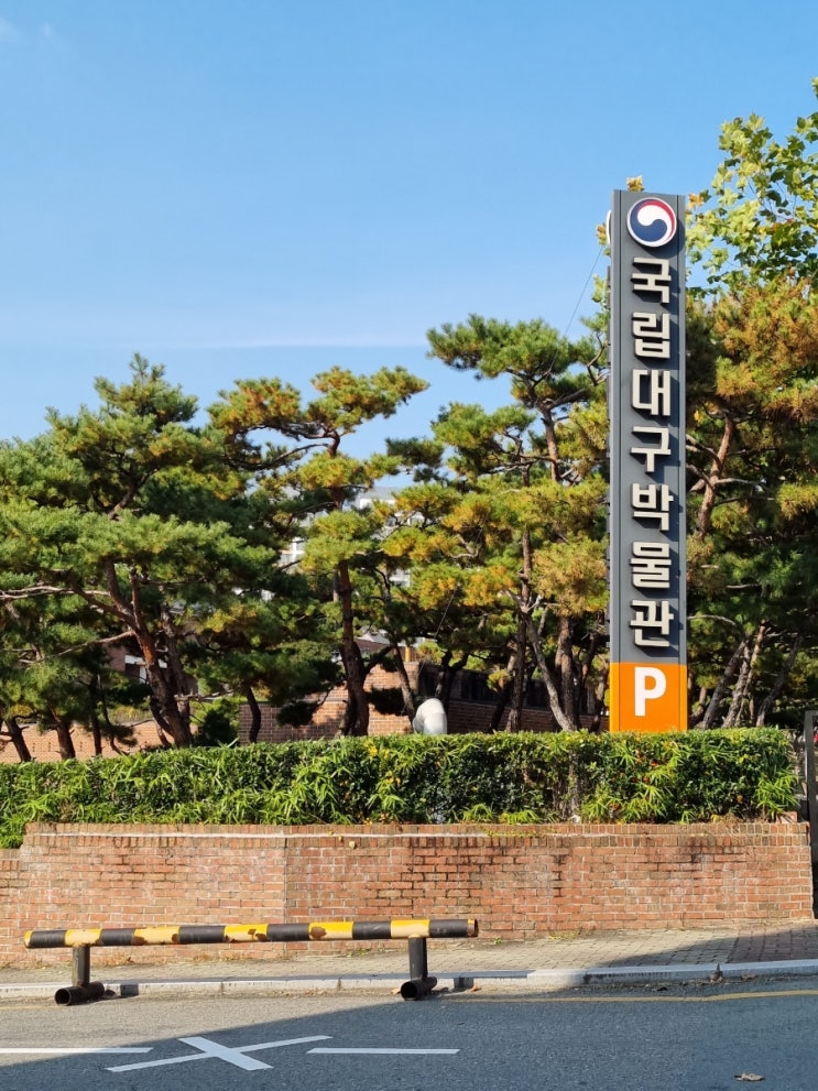  박물관 구경하기(국립대구 박물관)