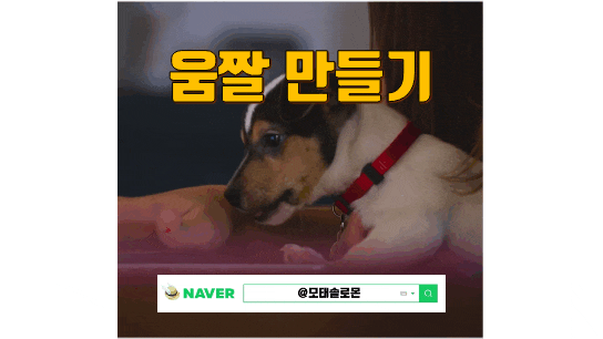  움짤만들기 GIF 동영상변환 곰플레이어 EZGIF 움짤만드는법