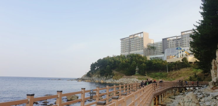  속초 가볼만한곳 외웅치바다향기로 외웅치해수욕장