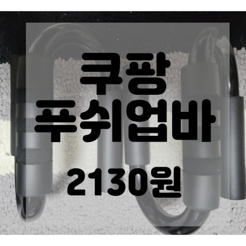  (내돈내산)(솔직리뷰)쿠팡 스포홀릭 팔굽혀펴기 베이직 S자 푸쉬업바