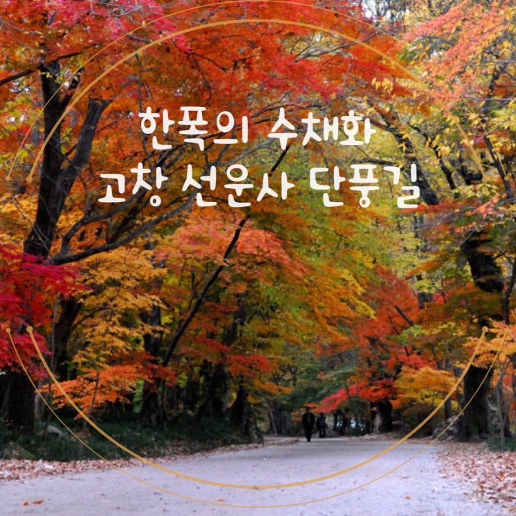 한폭의 수채화! 고창 선운사 단풍 한폭의 수채화! 고창 선운사 단풍