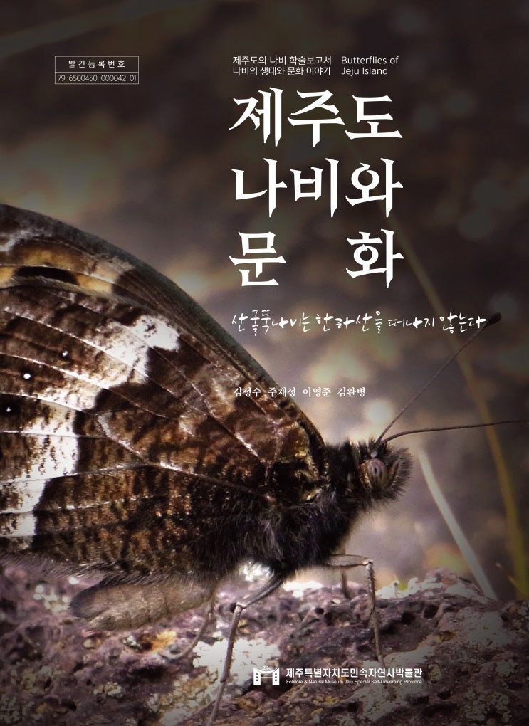  나비의 생태와 문화 이야기 #제주특별자치도민속자연사박물관