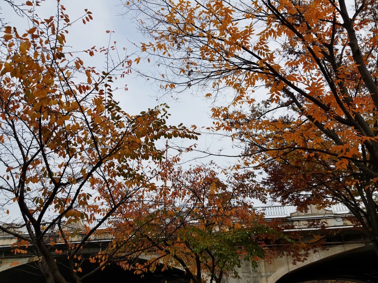 가을비 내린 일산호수공원 한 바퀴! 가을비 내린 일산호수공원 한 바퀴!