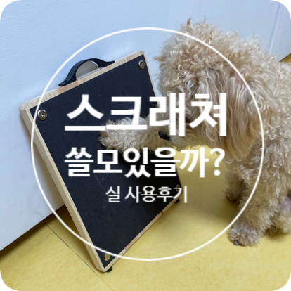 [강아지용품 신박템] 강아지 스크래쳐 쓸모있을까?(발톱관리용,가구파손방지 실사용후기,영상O)