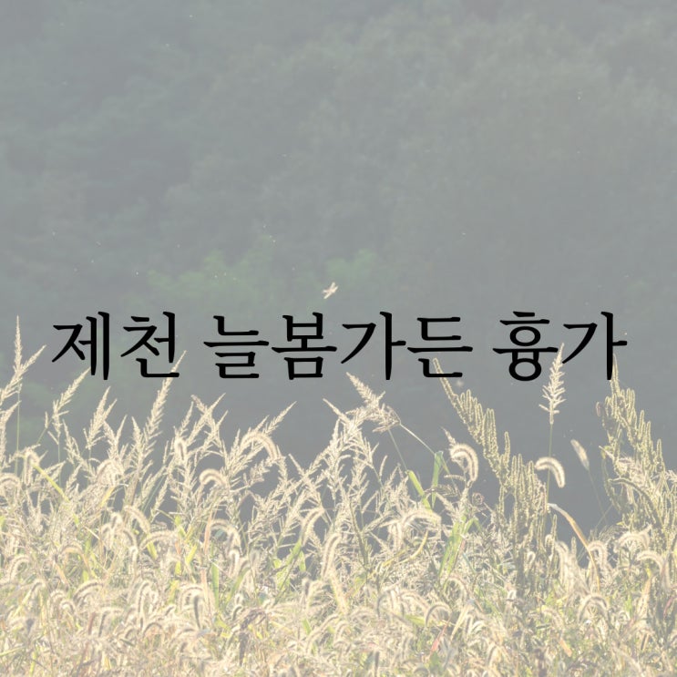  제천 늘봄가든 / 한국 3대 흉가 공포 괴담 무서운 썰