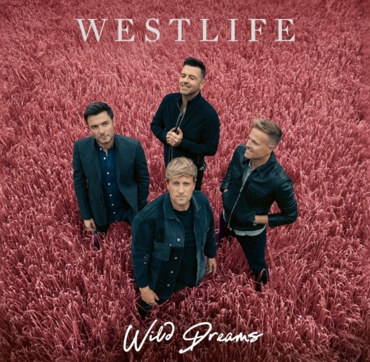  신곡 Westlife - My Hero 잔잔한노래, 힐링노래로 좋은 팝송 가사해석 인생노래라고 얘기할 수 있는 팝송