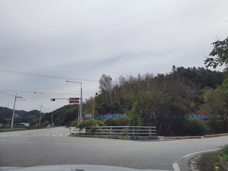 사진 3