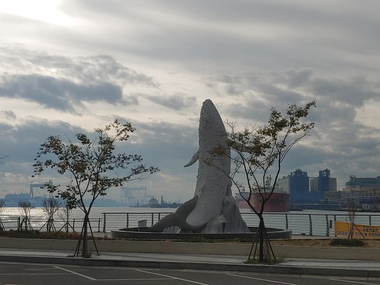 울산광역시 여행 (장생포 고래문화특구 : 고래문화광장, 고래바다여행선, 장생포 벽화마을)