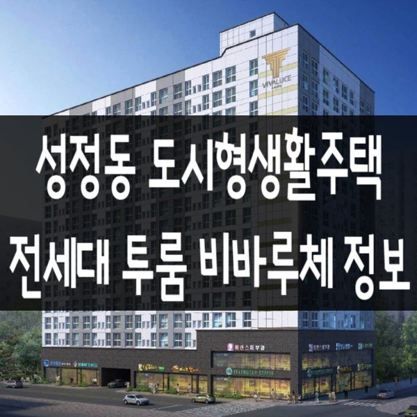  성정동 비바루체 도시생활형주택 전세대 투룸의 소형아파트 정보