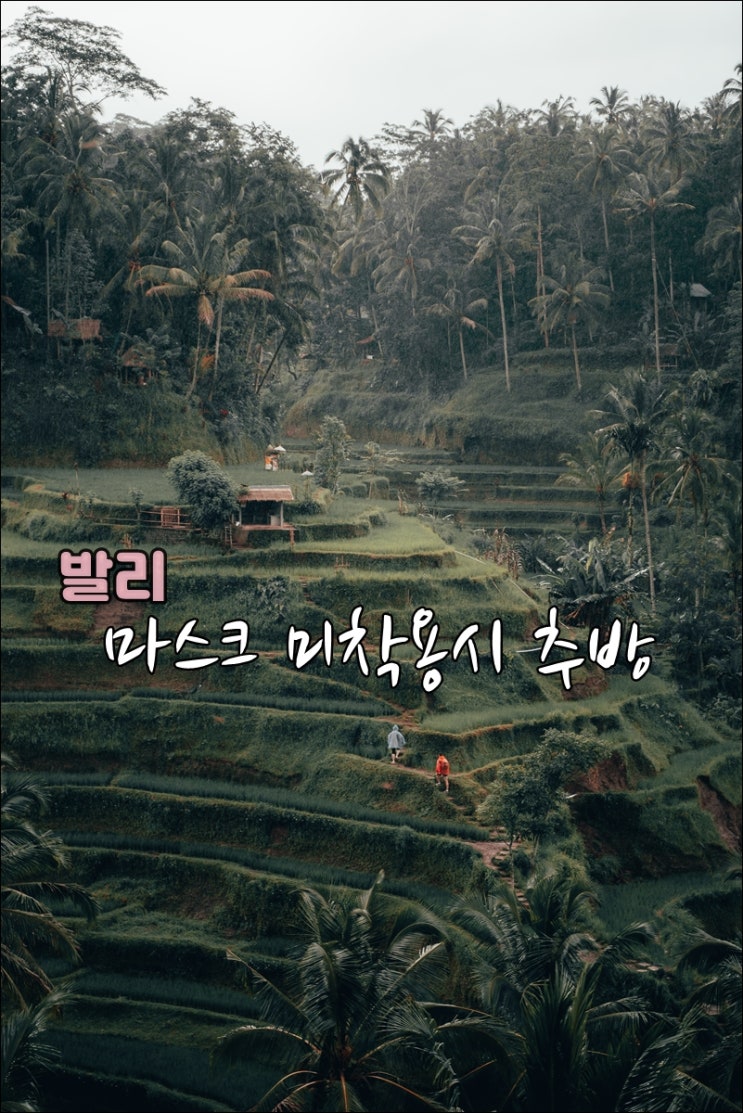  발리여행시 마스크 안쓰면 추방