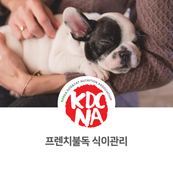  정유경 펫영양사가 알려주는 프렌치불독 식이관리 [한국반려동물영양협회/오간식익산점/강아지간식만들기/강아지화식/펫푸드자격증/정부지원사업/익산/금산/당진/서산/군산_907]